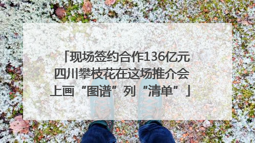 现场签约合作136亿元 四川攀枝花在这场推介会上画“图谱”列“清单”
