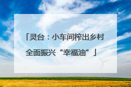 灵台：小车间榨出乡村全面振兴“幸福油”