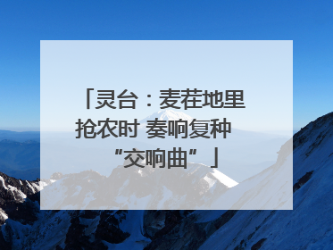 灵台：麦茬地里抢农时 奏响复种“交响曲”