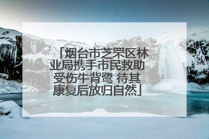 烟台市芝罘区林业局携手市民救助受伤牛背鹭 待其康复后放归自然