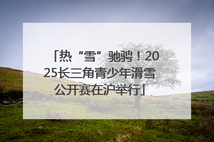热“雪”驰骋！2025长三角青少年滑雪公开赛在沪举行