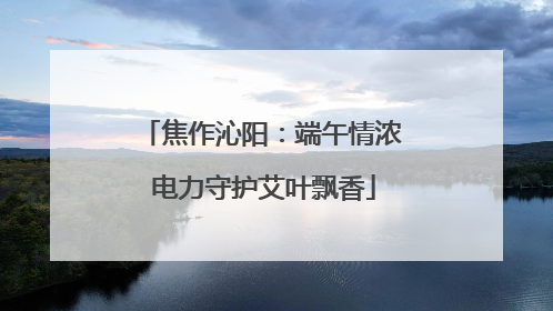 焦作沁阳：端午情浓 电力守护艾叶飘香
