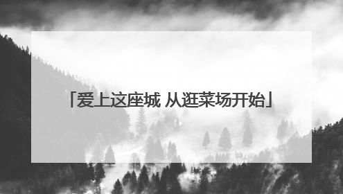 爱上这座城 从逛菜场开始