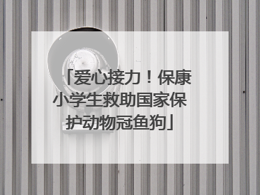 爱心接力！保康小学生救助国家保护动物冠鱼狗