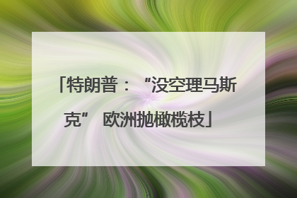 特朗普：“没空理马斯克” 欧洲抛橄榄枝