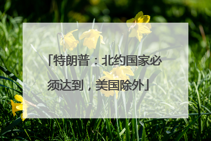 特朗普：北约国家必须达到，美国除外