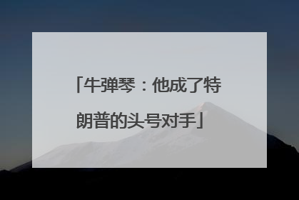 牛弹琴：他成了特朗普的头号对手