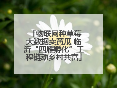 物联网种草莓 大数据卖黄瓜 临沂“四雁孵化”工程链动乡村共富