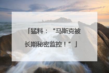 猛料：“马斯克被长期秘密监控！”