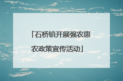 石桥镇开展强农惠农政策宣传活动