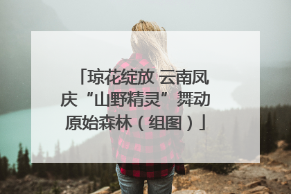 琼花绽放 云南凤庆“山野精灵”舞动原始森林（组图）