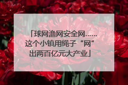 球网渔网安全网……这个小镇用绳子“网”出两百亿元大产业