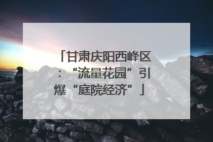 甘肃庆阳西峰区：“流量花园”引爆“庭院经济”
