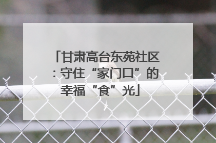 甘肃高台东苑社区：守住“家门口”的幸福“食”光