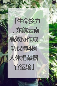 生命接力，东航云南高效协作成功保障4例人体捐献器官运输