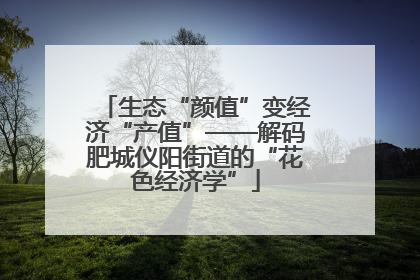 生态“颜值”变经济“产值”——解码肥城仪阳街道的“花色经济学”