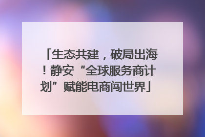 生态共建，破局出海！静安“全球服务商计划”赋能电商闯世界