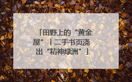 田野上的“黄金屋”丨二手书页浇出“精神绿洲”