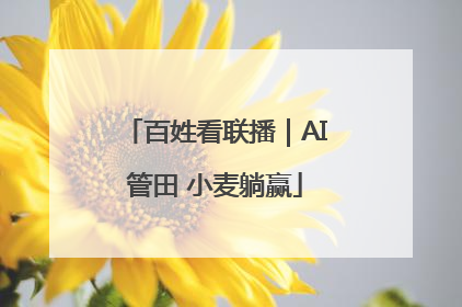 百姓看联播｜AI管田 小麦躺赢