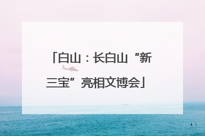白山：长白山“新三宝”亮相文博会