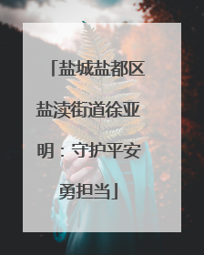 盐城盐都区盐渎街道徐亚明：守护平安勇担当