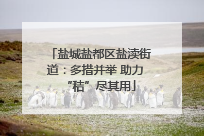 盐城盐都区盐渎街道：多措并举 助力“秸”尽其用