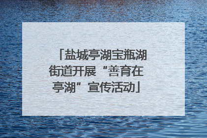 盐城亭湖宝瓶湖街道开展“善育在亭湖”宣传活动