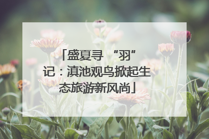 盛夏寻 “羽” 记：滇池观鸟掀起生态旅游新风尚