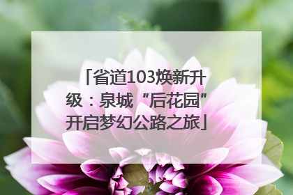 省道103焕新升级：泉城“后花园”开启梦幻公路之旅