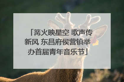 篝火映星空 歌声传新风 东昌府侯营镇举办首届青年音乐节