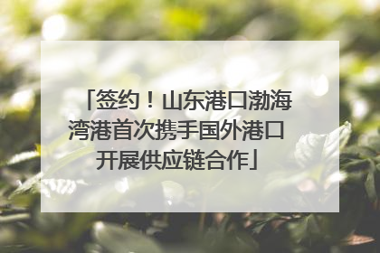 签约！山东港口渤海湾港首次携手国外港口开展供应链合作
