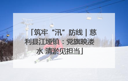 筑牢“汛”防线｜慈利县江垭镇：党旗映溇水 清淤见担当