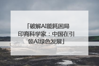 破解AI能耗困局 印裔科学家：中国在引领AI绿色发展