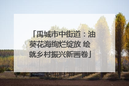 禹城市中街道：油葵花海绚烂绽放 绘就乡村振兴新画卷