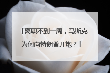 离职不到一周，马斯克为何向特朗普开炮？