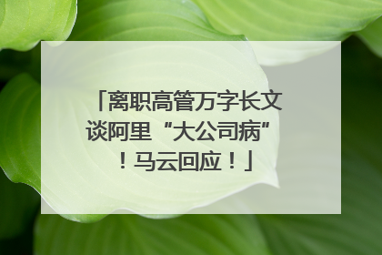 离职高管万字长文谈阿里“大公司病”！马云回应！