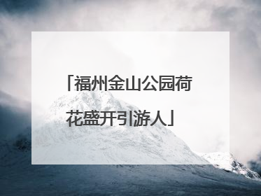 福州金山公园荷花盛开引游人