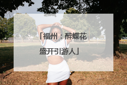 福州：醉蝶花盛开引游人
