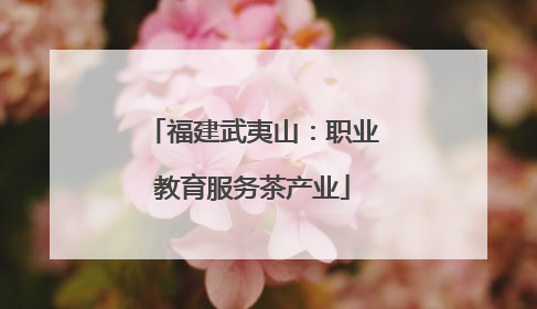 福建武夷山：职业教育服务茶产业