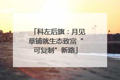 科左后旗：月见草铺就生态致富“可复制”新路