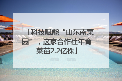 科技赋能“山东南菜园”，这家合作社年育菜苗2.2亿株