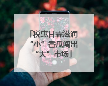 税惠甘霖滋润“小”香瓜闯出“大”市场