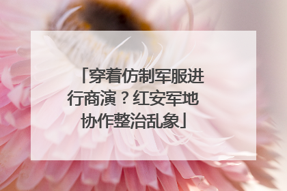 穿着仿制军服进行商演？红安军地协作整治乱象