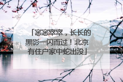 窸窸窣窣，长长的黑影一闪而过！北京有住户家中蛇出没