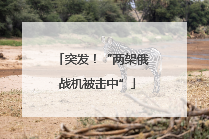 突发！“两架俄战机被击中”