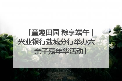 童趣田园 粽享端午｜兴业银行盐城分行举办六一亲子嘉年华活动