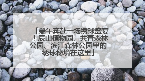 端午奔赴一场绣球盛宴！辰山植物园、共青森林公园、滨江森林公园里的绣球秘境在这里