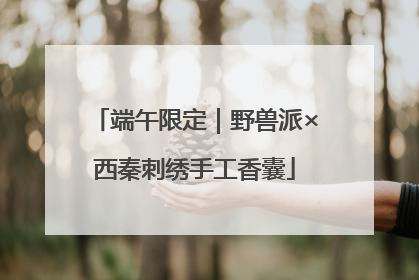 端午限定｜野兽派×西秦刺绣手工香囊