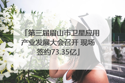 第三届眉山市卫星应用产业发展大会召开 现场签约73.35亿
