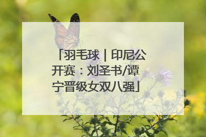 羽毛球｜印尼公开赛：刘圣书/谭宁晋级女双八强